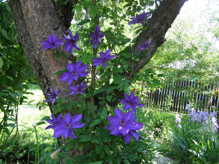 P4085729