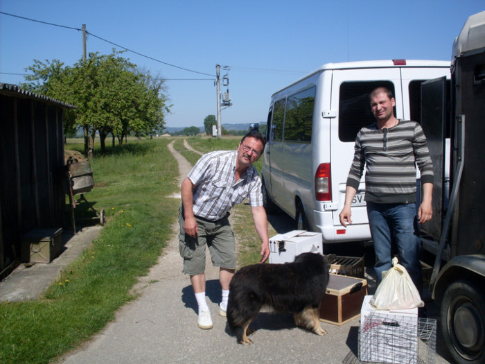 SDC10187 - VIZITA IN GERMANIA SI AUSTRIA PENTRU ACHIZITIONARE DE GAINI SI IEPURI