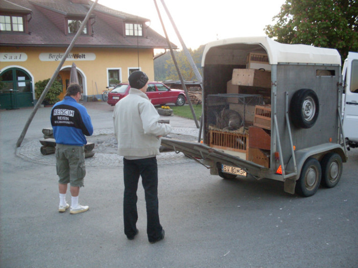 plecam la achizitii in Linz - vizita crescatoriilor de iepuri oi si gaini din zona -sucevei-vaslui