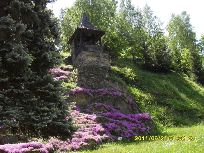 Prislop-Hunedoara-Minastirea - Excursii 2011