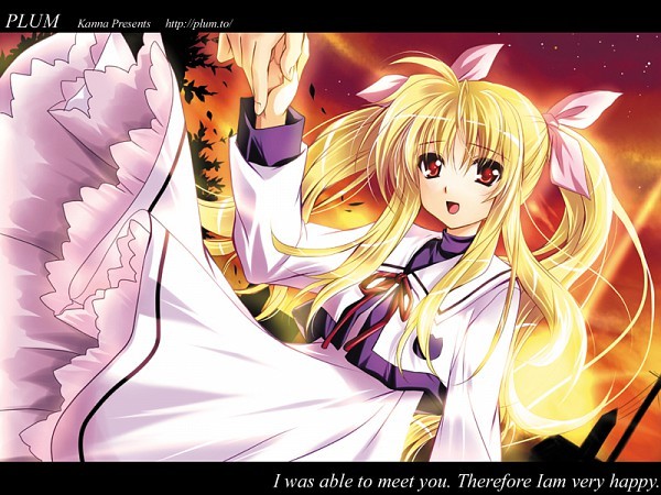 221541 - Fate Testarossa Harlaown