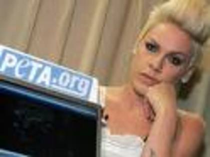 444444444444444444444445