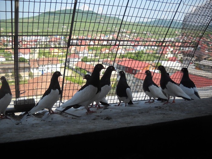 Lotul de zbor, gata de...........