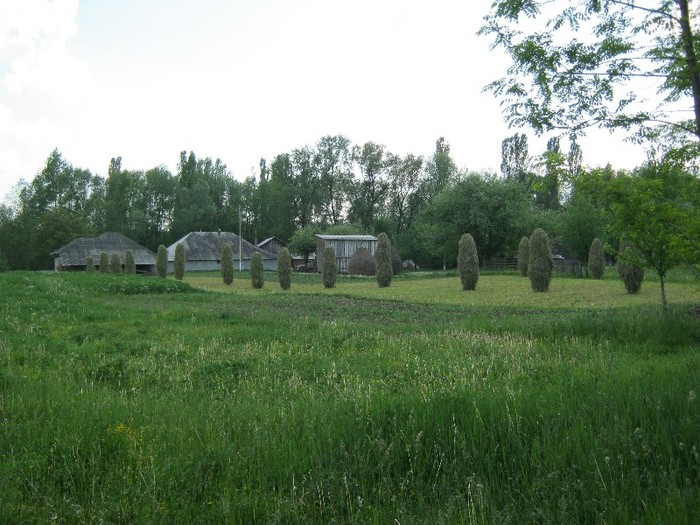 22 mai 2011 002