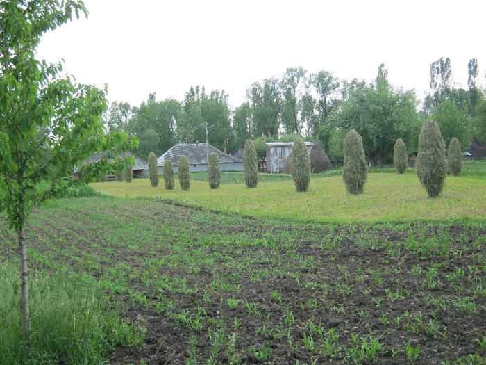 22 mai 2011 003