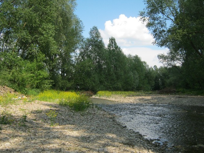 22 mai 2011 012