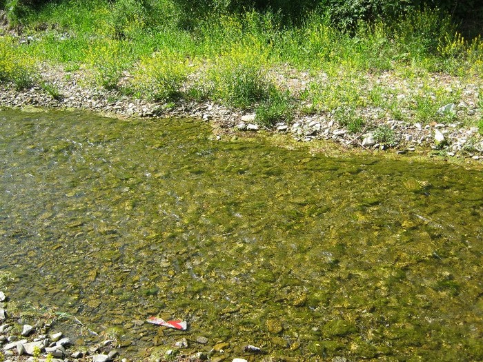 22 mai 2011 015