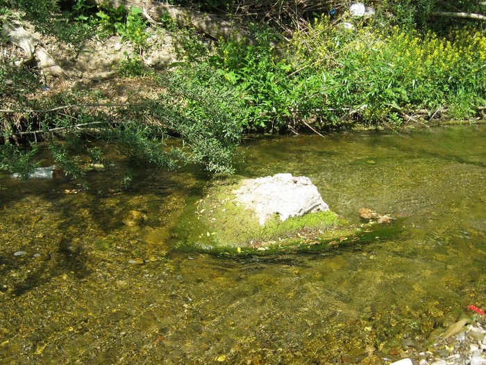 22 mai 2011 019