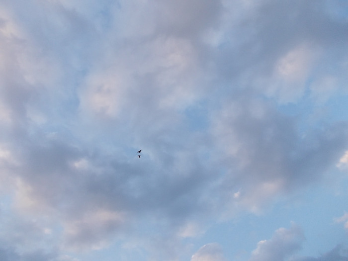 DSCN0265