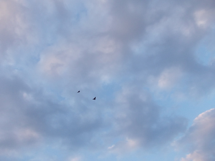 DSCN0269