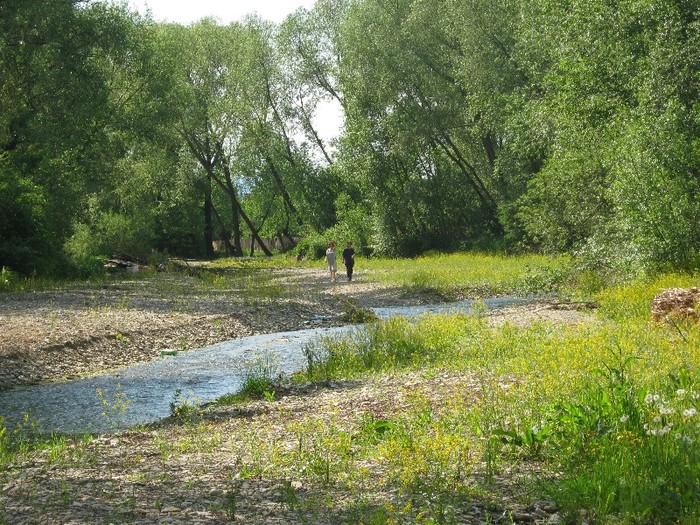 22 mai 2011 033