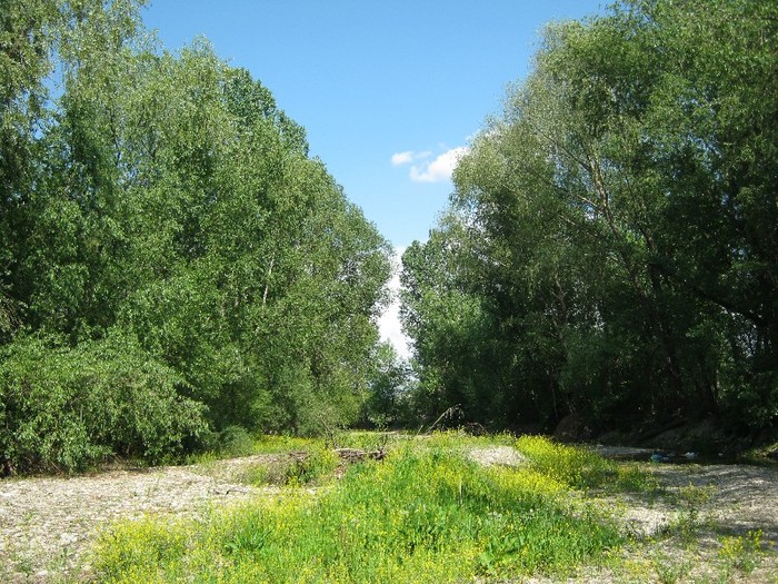 22 mai 2011 048