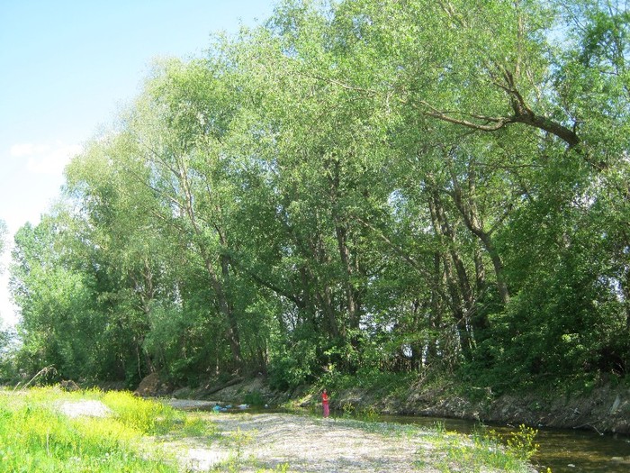 22 mai 2011 049