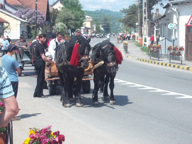 DSCF1449 - bucsoaia 2011