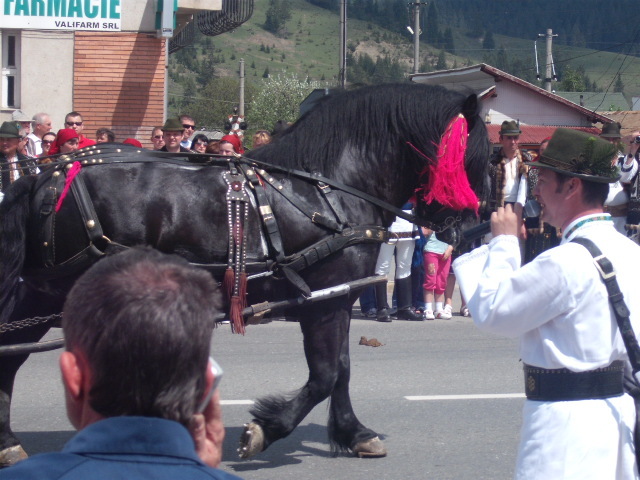 DSCF1467 - bucsoaia 2011