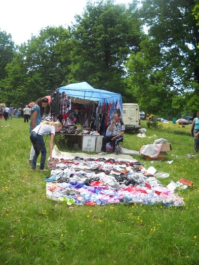 taraba "ecologica" - FESTIVALUL LALEAUA PESTRITA