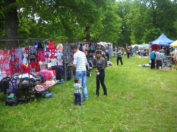 imagini colorate ...rau(bine?) - FESTIVALUL LALEAUA PESTRITA