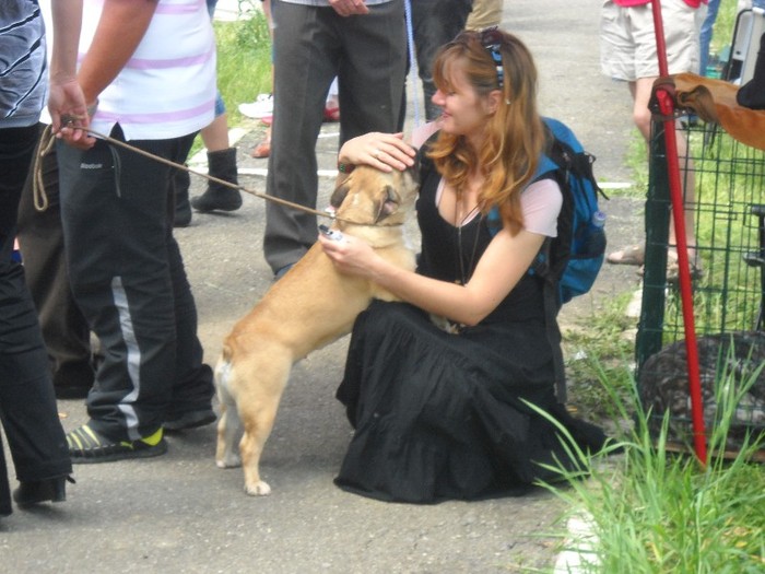 DSCN5797 - FESTIVAL CANIN BISTRITA 2011