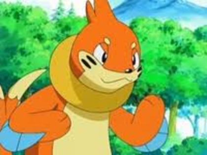 buizel