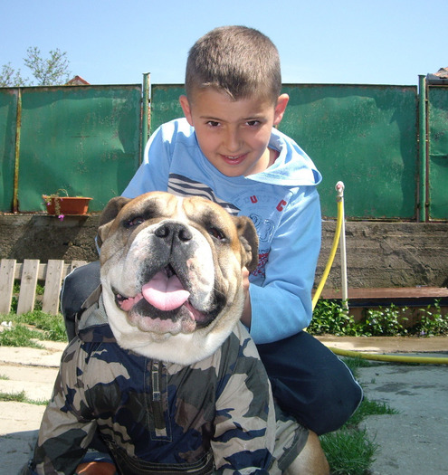 Tita Buldog Englez; 1an si 6 luni
