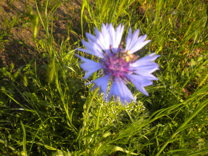DSCN1062