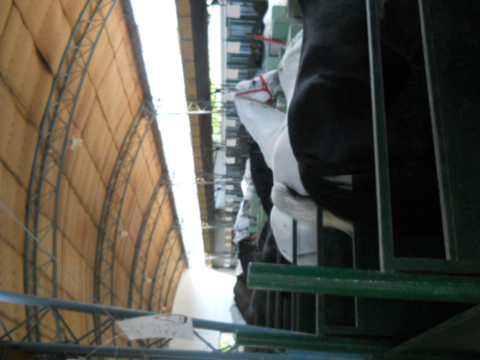 DSCN1320