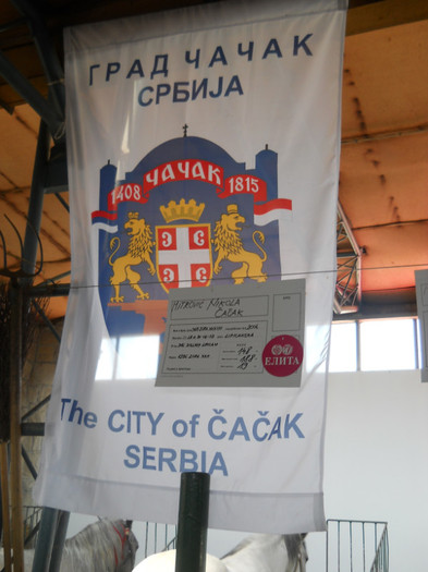 DSCN1325