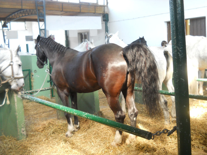 DSCN1344