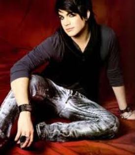 images (15) - adam lambert