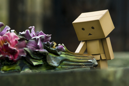 sad - danbo pictures