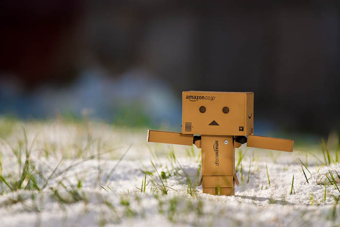 20100107135740_danbo liks snow