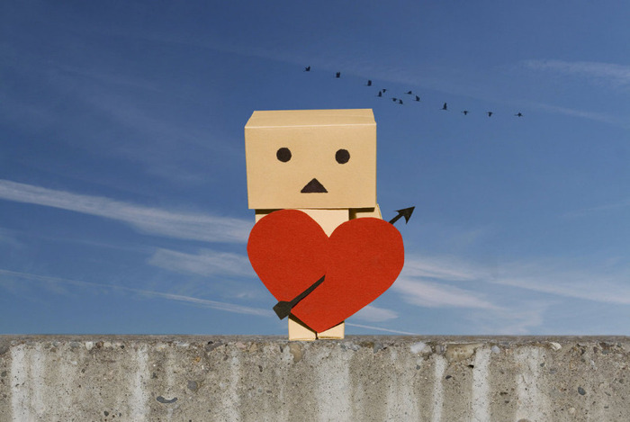 Danbo_Valentine_by_pg_images