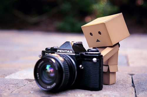 danbo-appareil-2437380965 - danbo pictures