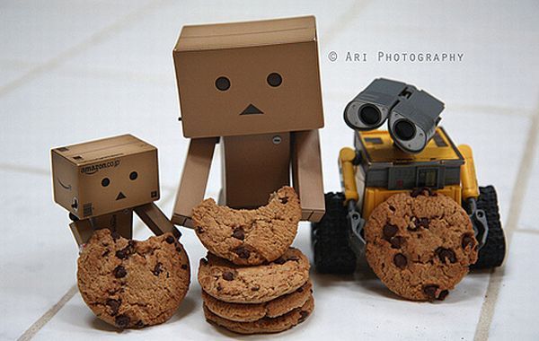 danboard_00 - danbo pictures