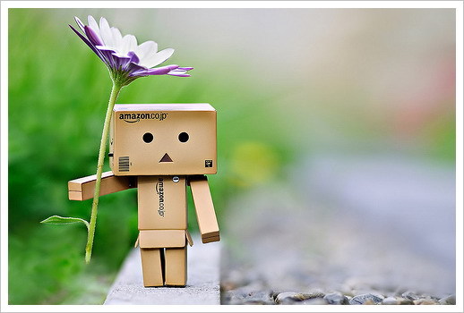 danbo-avec-une-fleur-pour-ca-cherie-tagadaetcompagnie220110123063649