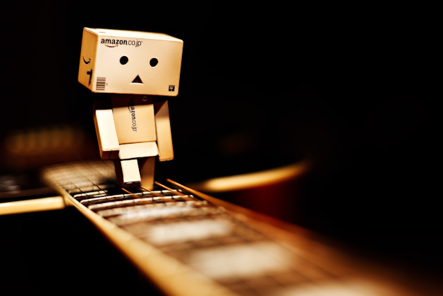 Danbo-Walks-the-Line-IMG_0506-Edit - danbo pictures