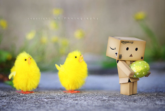 dsc_6397_blog - danbo pictures