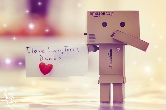 lady_tori__s_danbo_____by_3ees-d35rn73
