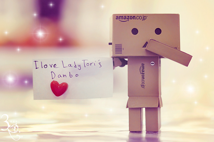 lady_tori__s_danbo_____by_3ees-d35rn73 - danbo pictures