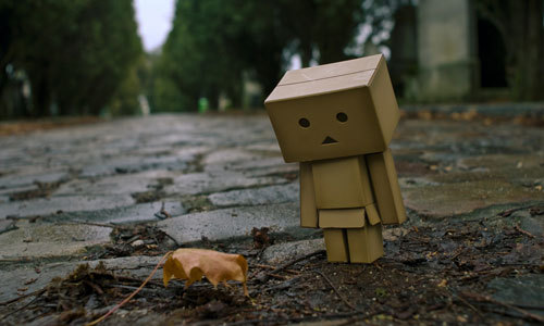 leaf-with-danbo