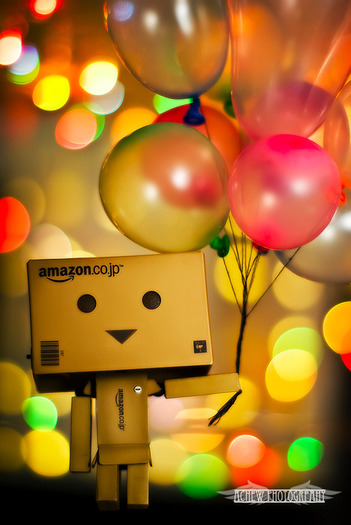 tumblr_lgeau6eQM51qfvr1lo1_500 - danbo pictures