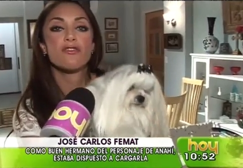 eeee - Dos Hogares 1