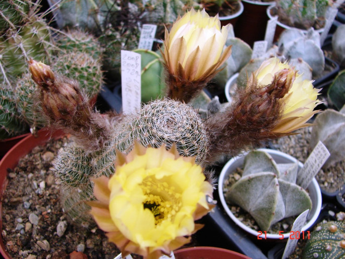 DSC09470