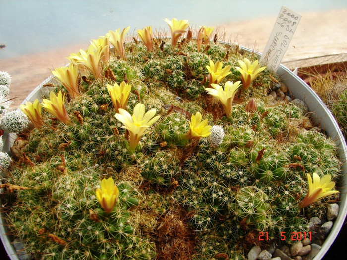 DSC09498