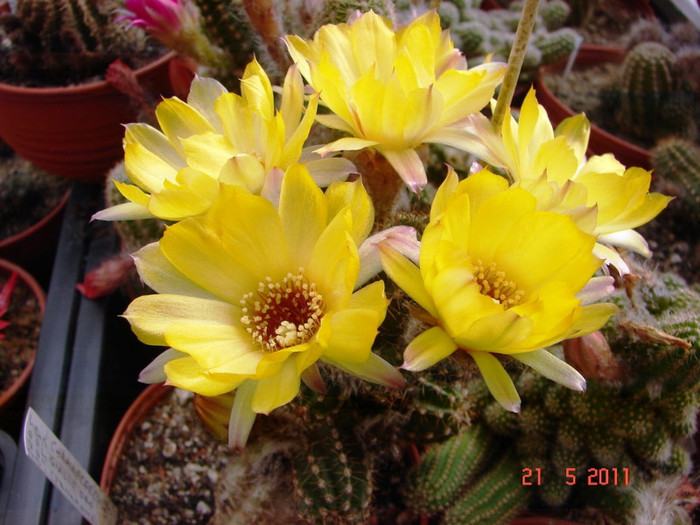 DSC09502