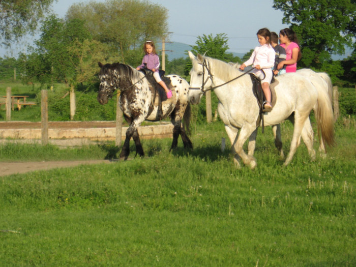 IMG_1195 - ECHITATIE 2011