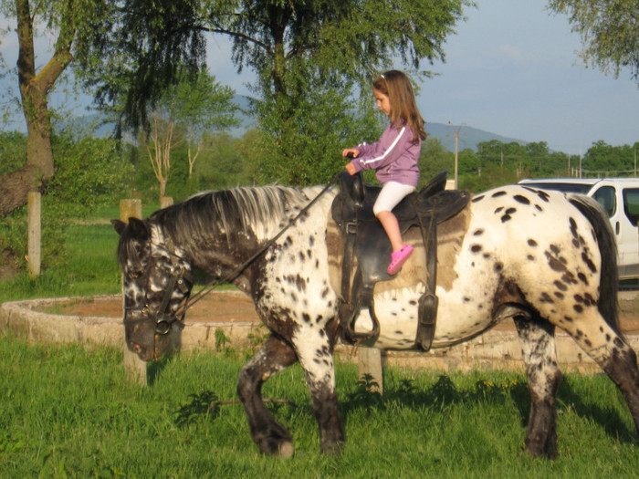 IMG_1197 - ECHITATIE 2011