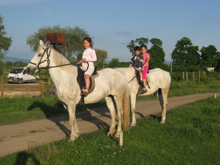 IMG_1198 - ECHITATIE 2011