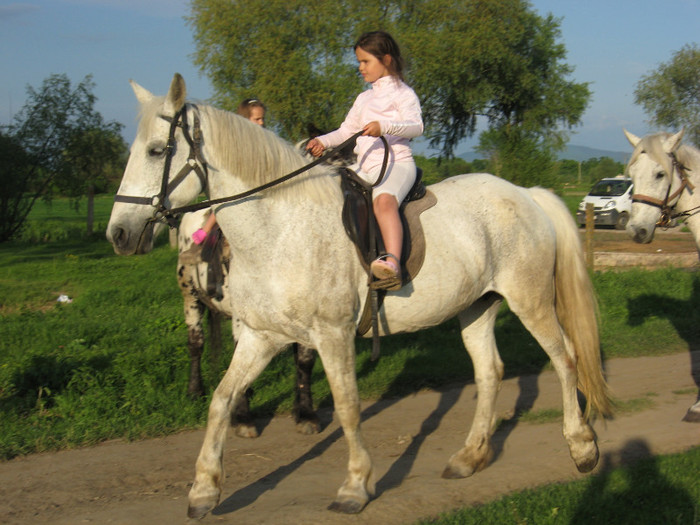 IMG_1200 - ECHITATIE 2011