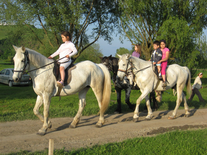 IMG_1202 - ECHITATIE 2011